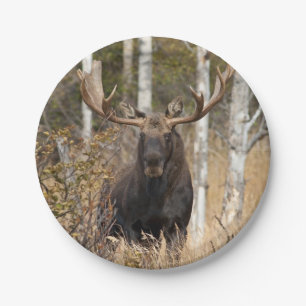 Impressive Bull Moose Paper Plate