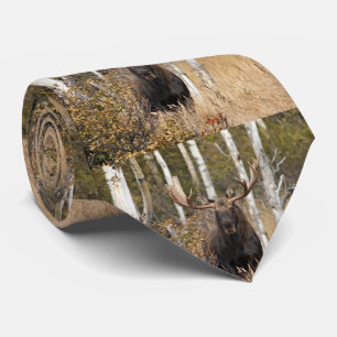 Impressive Bull Moose Tie