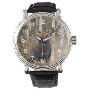 Impressive Bull Moose Watch