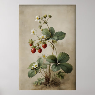 Imprimable Art Mural de Fraise Antique