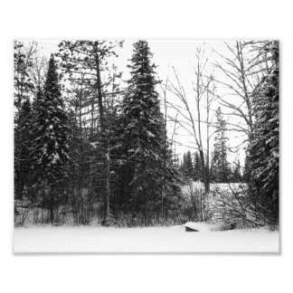 Imprimer la photo de la scène d'hiver