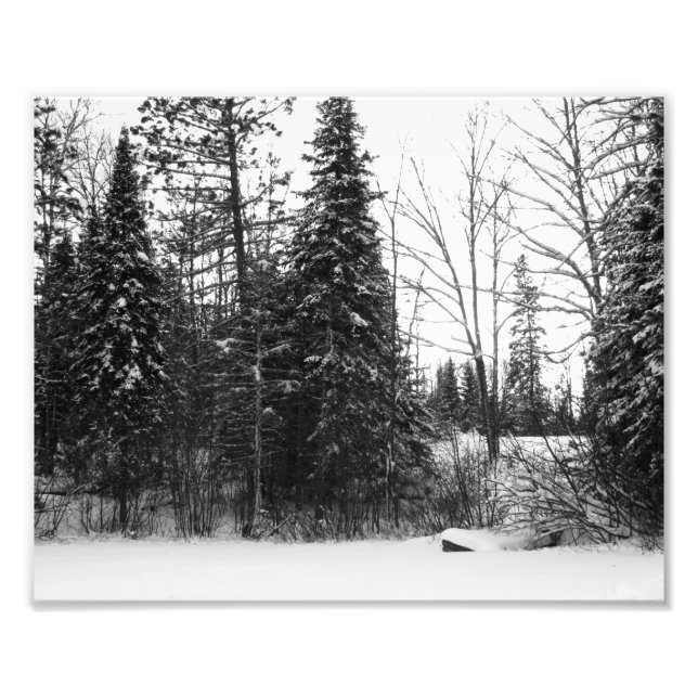 Imprimer la photo de la scène d'hiver (Devant)