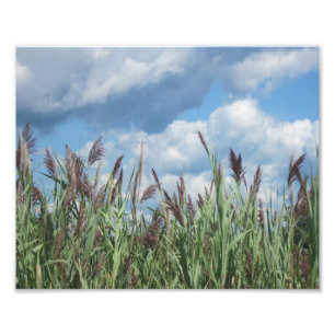 Imprimer la photo du marais d'eau salée