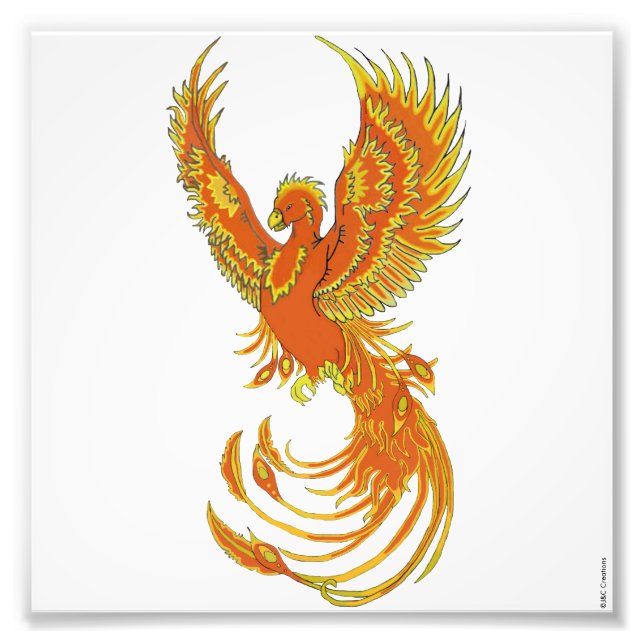 Imprimer photo Phoenix Rising (Devant)