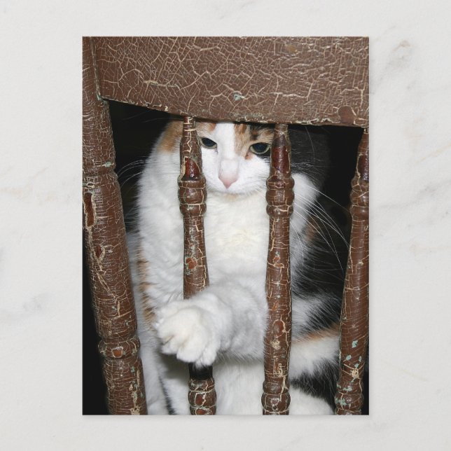 Imprisoned Postcard (Front)