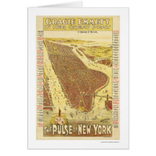 Impulsion de la carte 1891 de New York