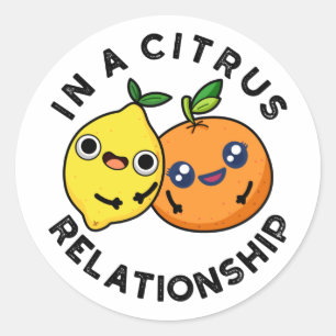 In A Citrus Relationship Funny Fruit Pun  Classic Round Sticker