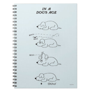 In a Dog's Age Notebook