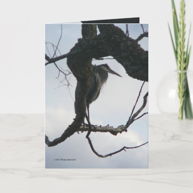 In a Tree Card (Front)