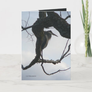 In a Tree Card