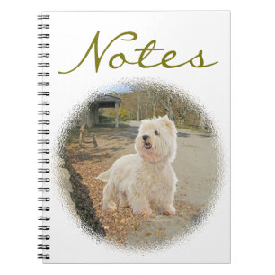 In Autumn Notebook