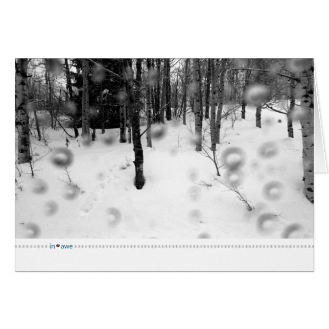 in*awe_rain forest (Front Horizontal)