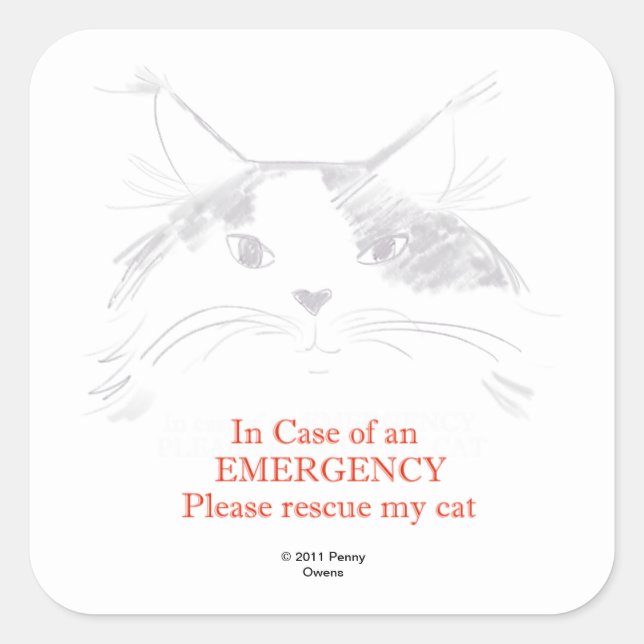 In case of an Emergency- Please rescue my cat Square Sticker (Front)