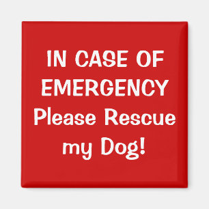 In Case of Emergency Magnet