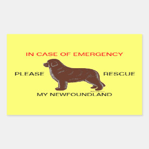 In Case of Emergency Newfoundland Dog Safety Sticker