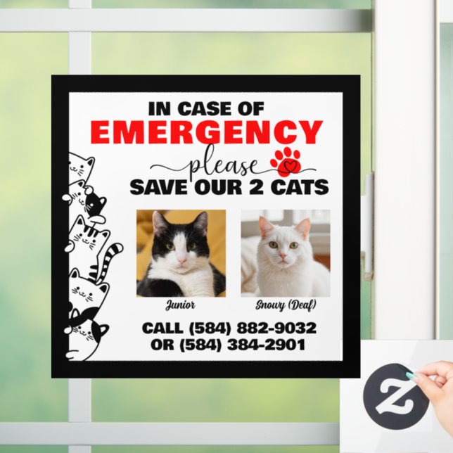 In Case of Emergency Save 2 Cats With Custom Photo Window Cling (Home)