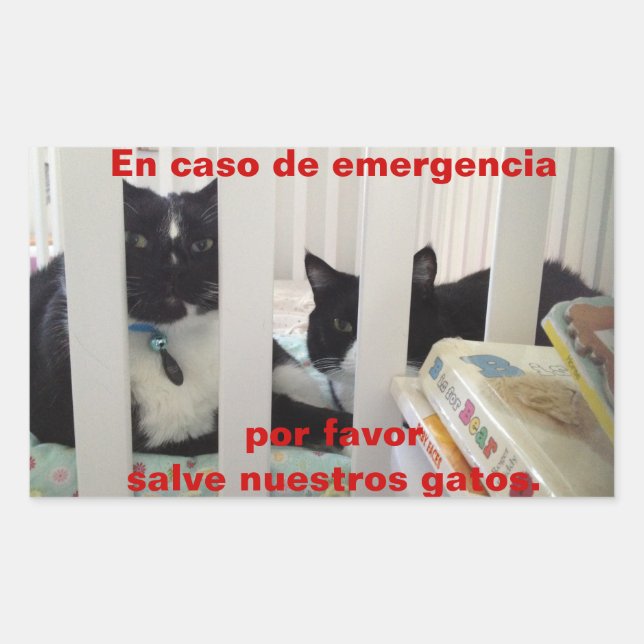 In case of emergency save our cat sticker (Front)