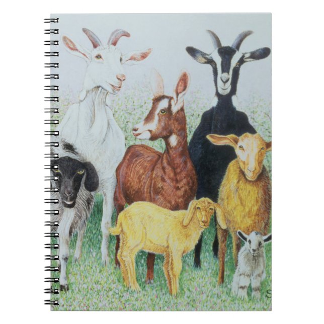 In Clover Notebook (Front)