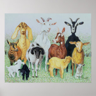 In Clover Poster