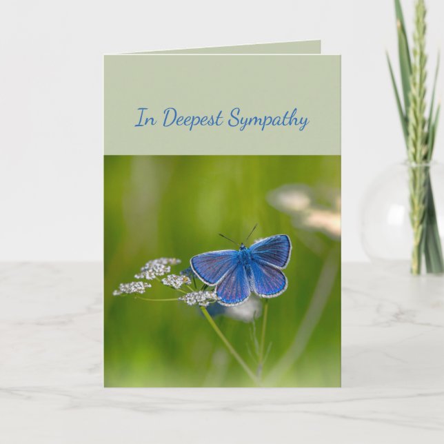 In Deepest Sympathy Help in Difficulty Butterfly C Card (Front)