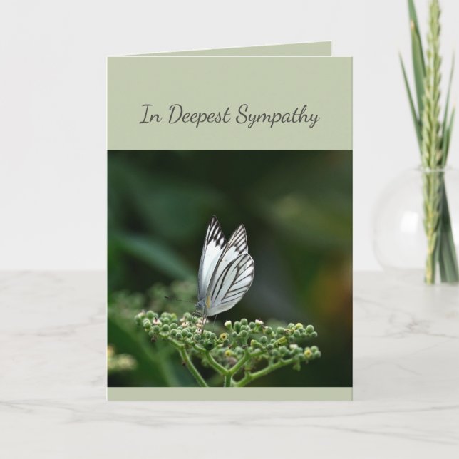 In Deepest Sympathy Help in Difficulty Butterfly Card (Front)