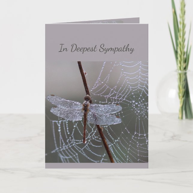 In Deepest Sympathy Help in Difficulty Dragonfly Card (Front)