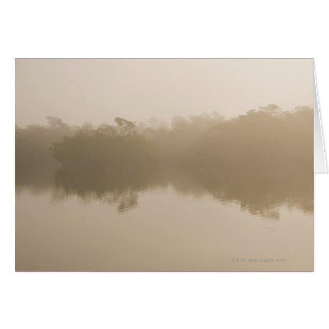 in Ding Darling (Front Horizontal)