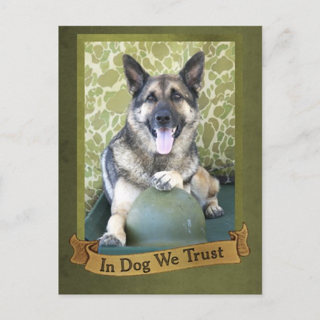 In Dog We Trust Postcard (Front)