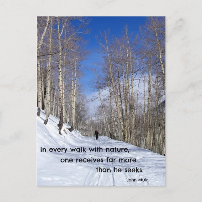 In every walk with nature...by John Muir Postcard (Front)