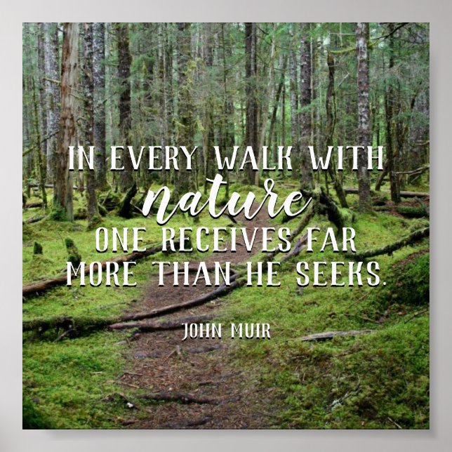 In Every Walk With Nature Poster (Front)