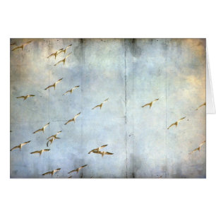 In Flight