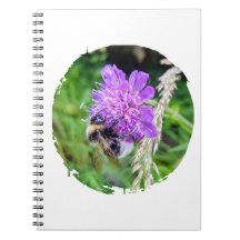 In full flower - notebook with bumblebee motif