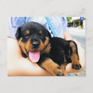 In Good Hands Postcard