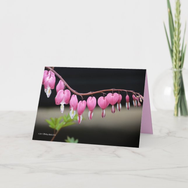 In Grace Card (Front)