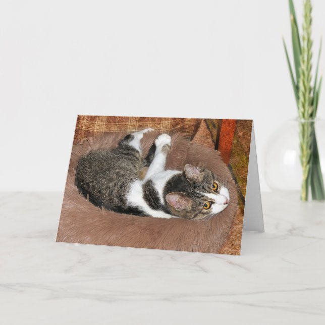 In Her Cat Bed Card (Front)