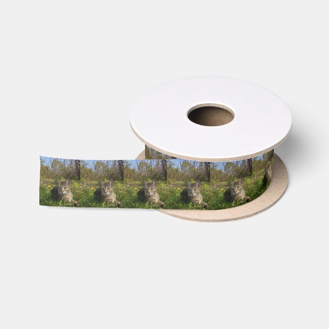 In His Comfort Zone Satin Ribbon (Spool)