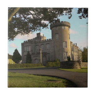 In Ireland, the Dromoland Castle side entrance Tile