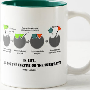 In Life, Are You The Enzyme Or The Substrate? Two-Tone Coffee Mug