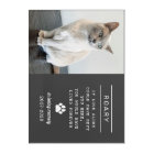In Loving Memory Cat Personalized Photo Memorial
