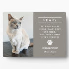 In Loving Memory Cat Personalized Photo Memorial