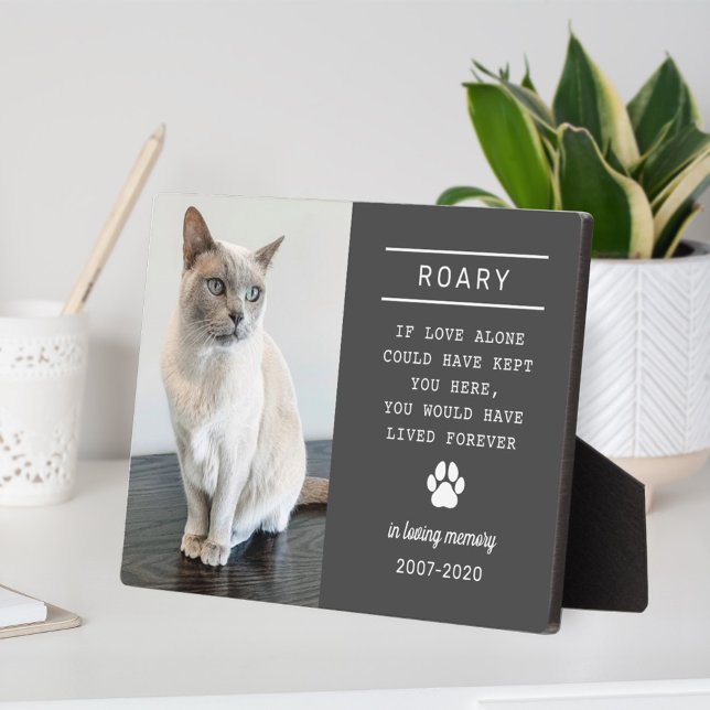 In Loving Memory Cat Photo Charcoal Plaque (Creator Uploaded)