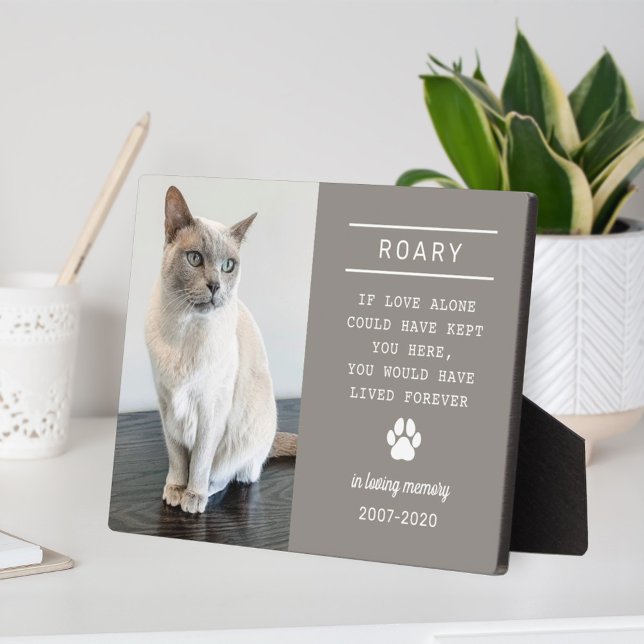 In Loving Memory Cat Photo Pewter Grey Plaque (Creator Uploaded)
