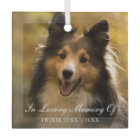 In Loving Memory Elegant Photo Pet Memorial