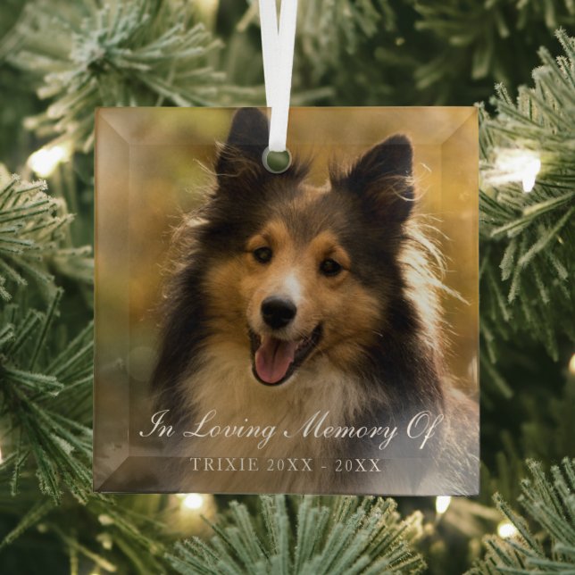In Loving Memory Elegant Photo Pet Memorial Glass Ornament (Insitu)