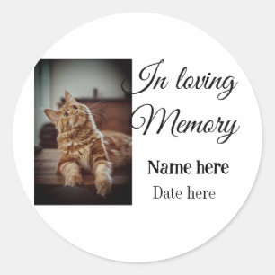 In loving memory memorial keepsake add pet name classic round sticker
