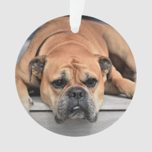 In Loving Memory Pet Christmas Memorial Ornament