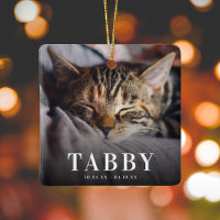 In loving Memory Pet Memorial Cat Tribute 2 Photo