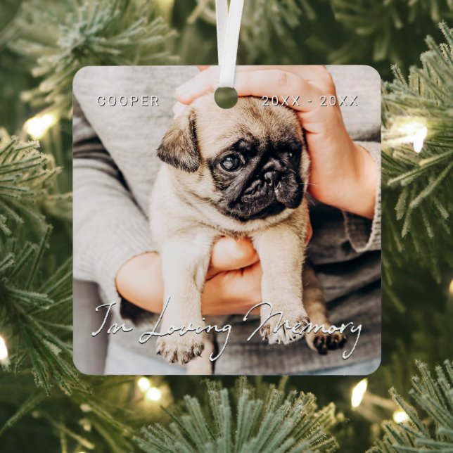 In Loving Memory Pet Memorial Simple Modern Photo Metal Ornament (Insitu)