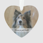 In Memory - Loss of Pet - Custom Photo/Name