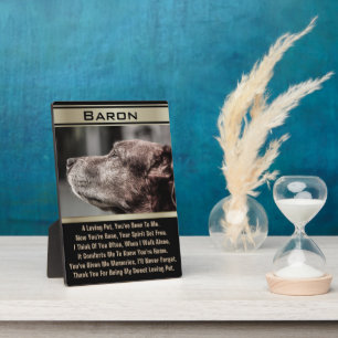 In Memory of a Lost Pet Plaque